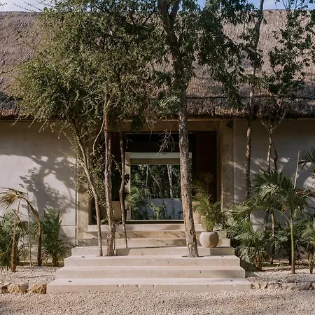 Villa Seremonia Oasis De Lujo En La Selva-2